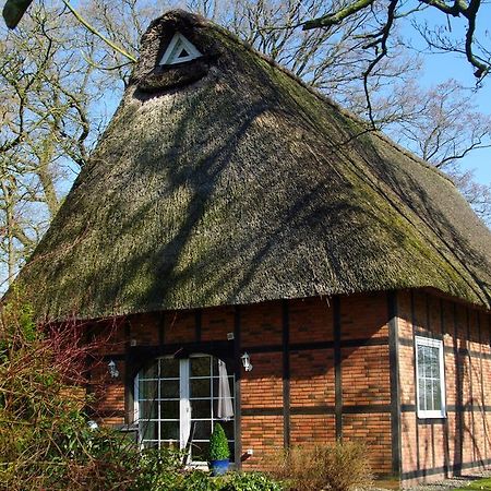 Gaestehaus Eulennest Grossenworden Eksteriør billede
